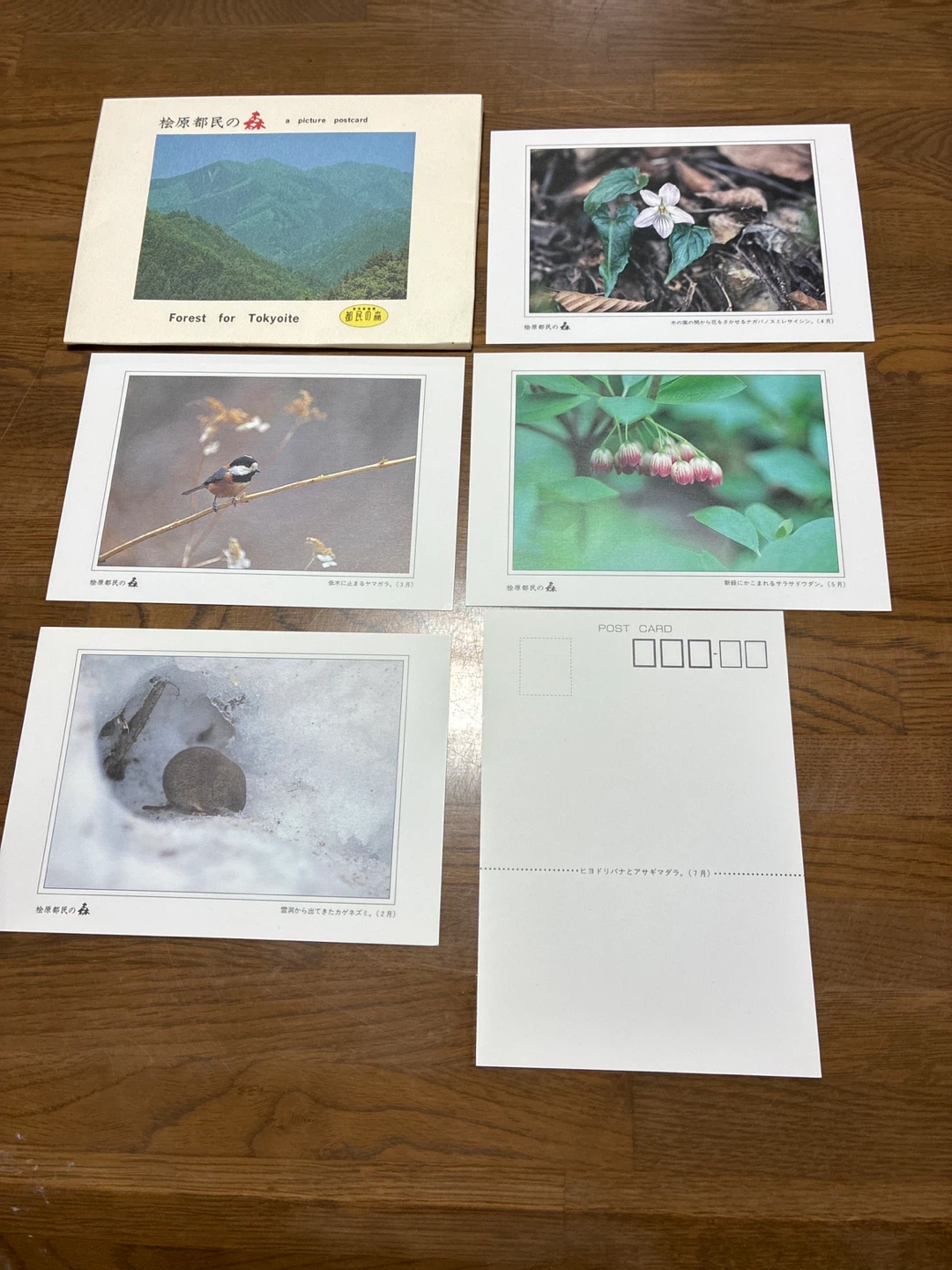 都民の森絵葉書 ポストカードの写真3枚目