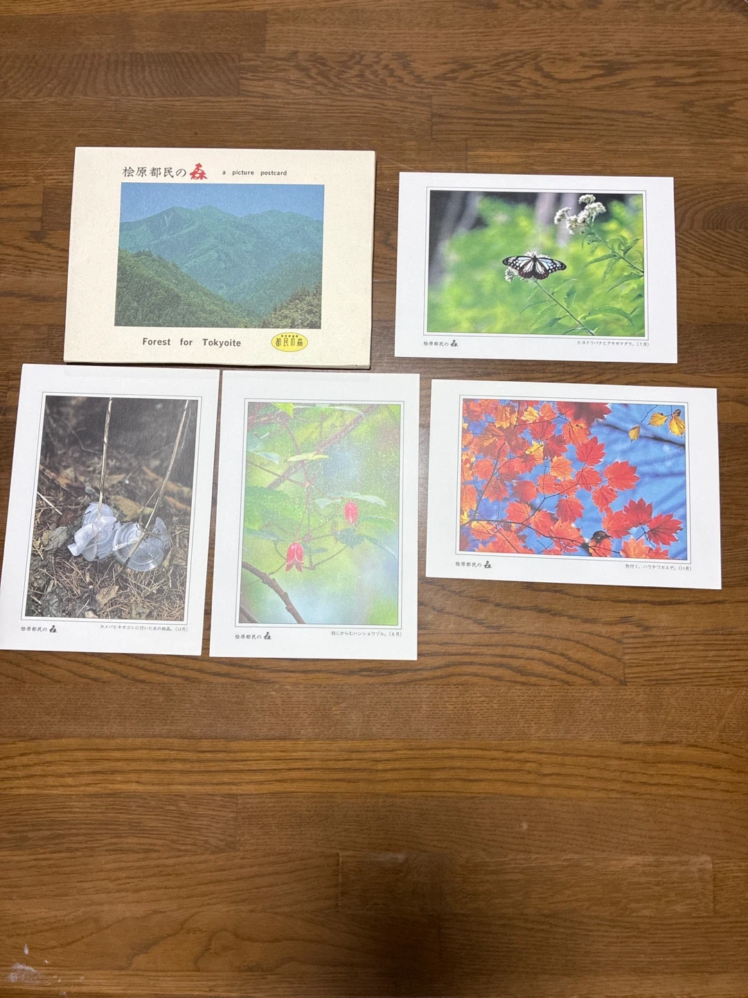 都民の森絵葉書 ポストカードの写真2枚目