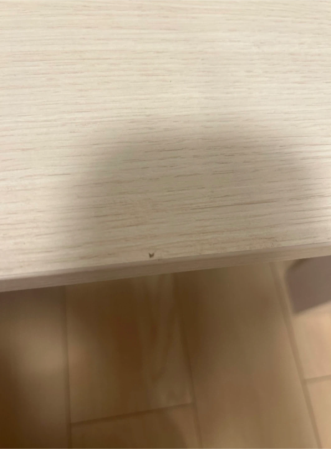 ローテーブル(コタツ付き)の写真3枚目