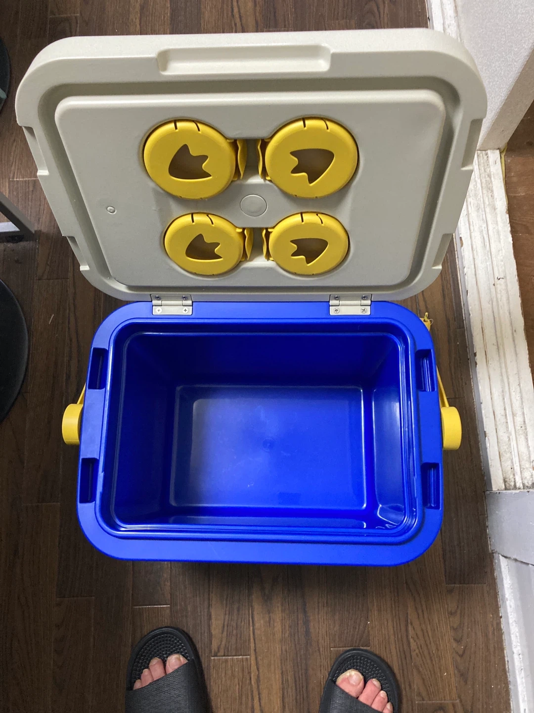 非売品クーラーボックスの写真4枚目