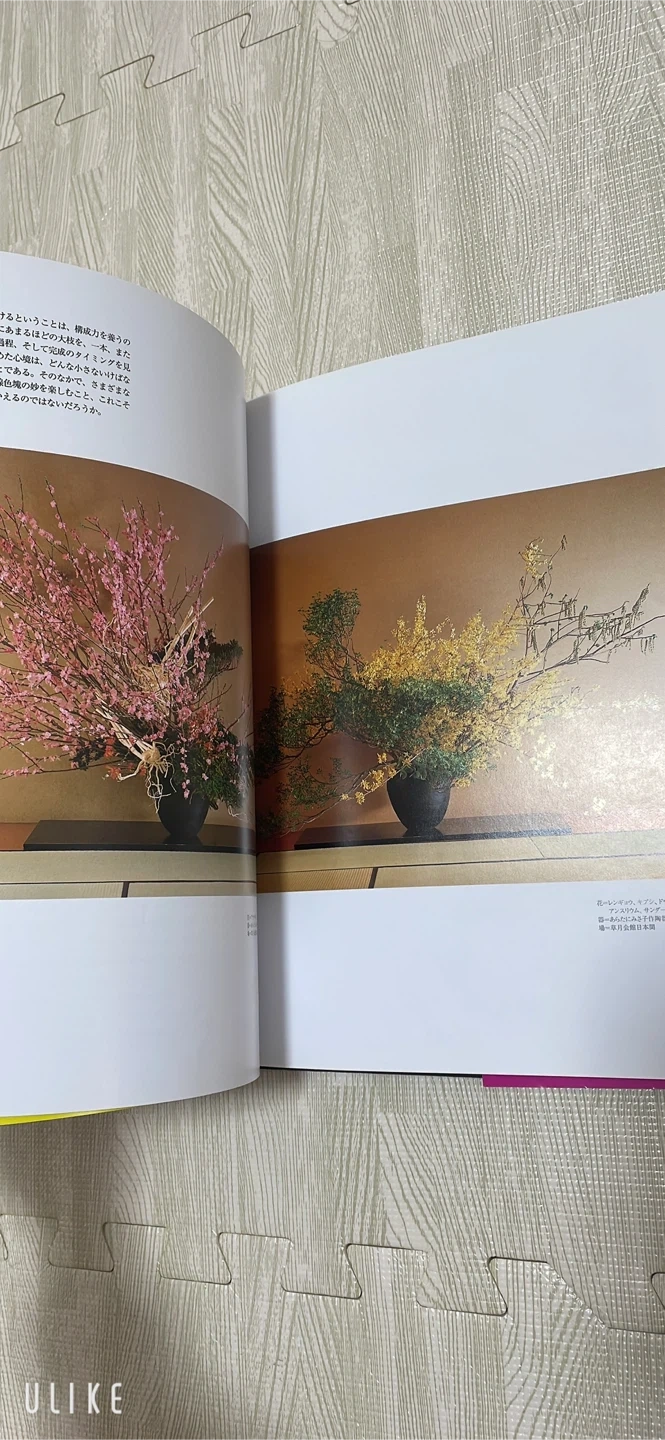 美品 假屋崎省吾 花 HANAGATAMIの写真5枚目