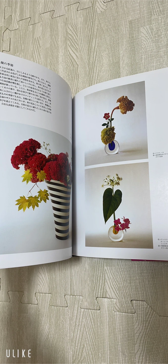 美品　假屋崎省吾 花 ＨＡＮＡＧＡＴＡＭＩの写真3枚目