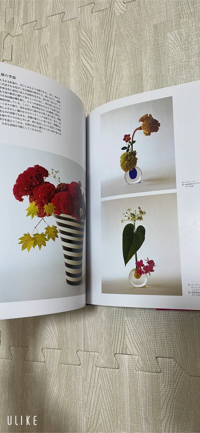 美品 假屋崎省吾 花 HANAGATAMIの写真3枚目