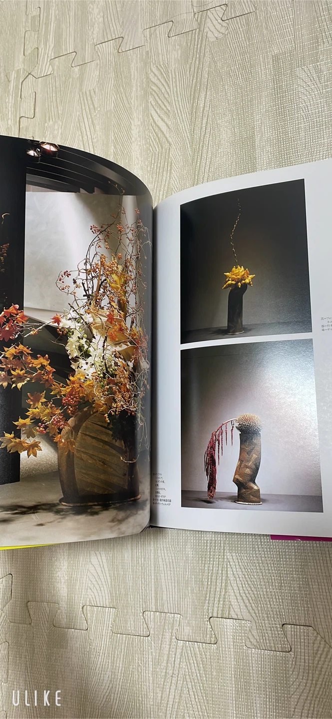 美品　假屋崎省吾 花 ＨＡＮＡＧＡＴＡＭＩの写真6枚目
