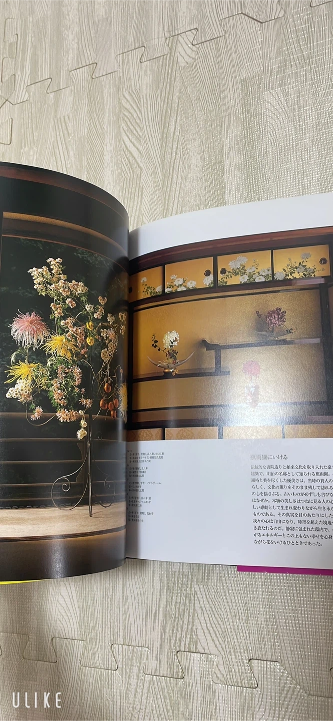 美品 假屋崎省吾 花 HANAGATAMIの写真7枚目