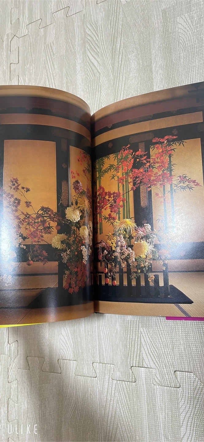 美品 假屋崎省吾 花 HANAGATAMIの写真8枚目