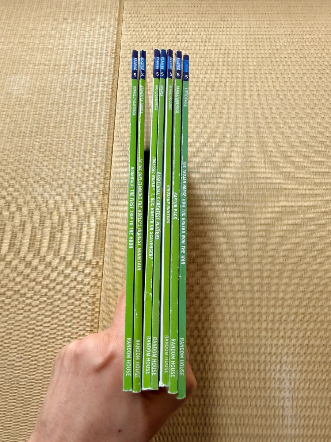 英語教材 読み聞かせ用 絵本セットの写真10枚目