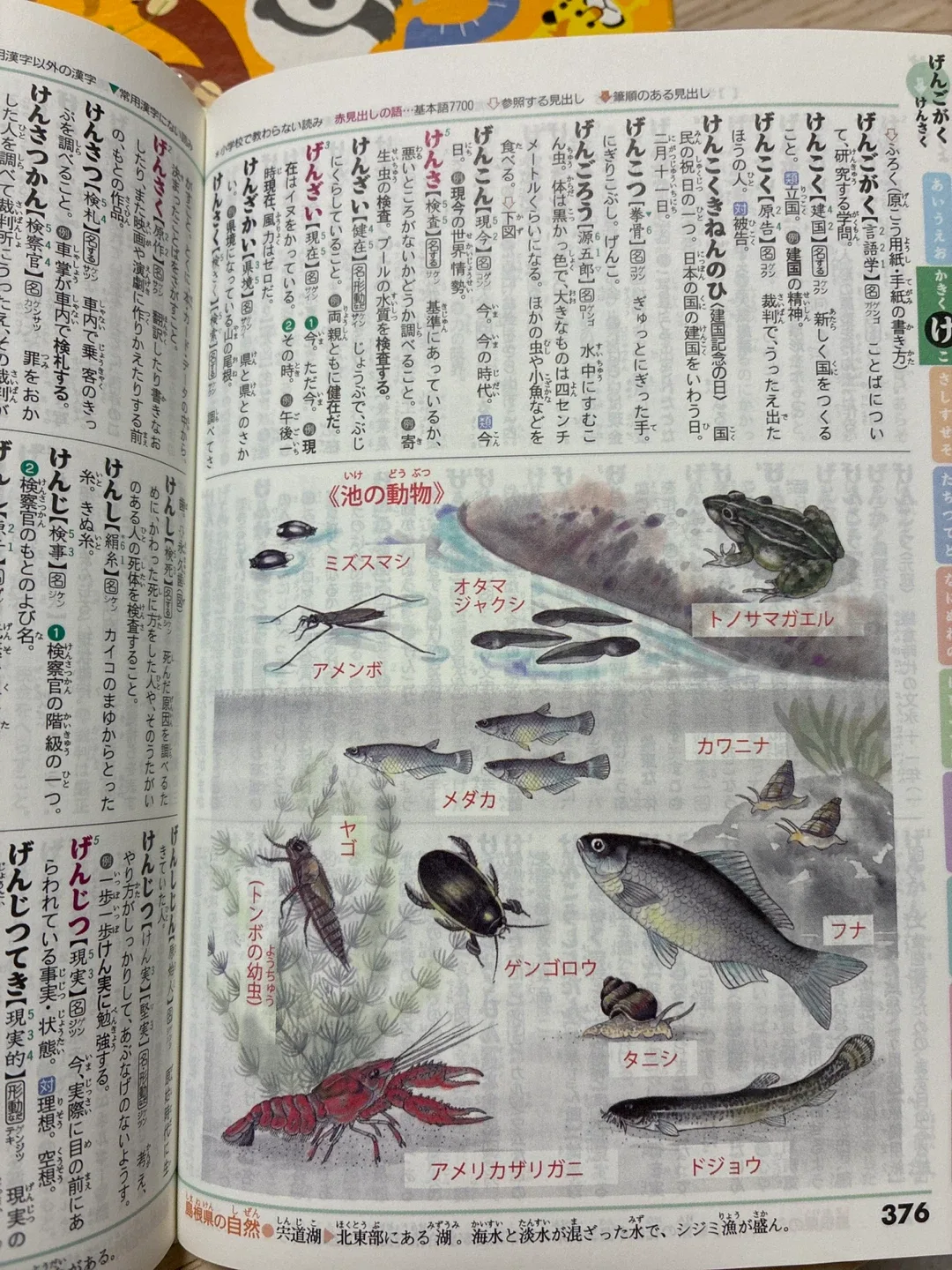 image indicator(4)