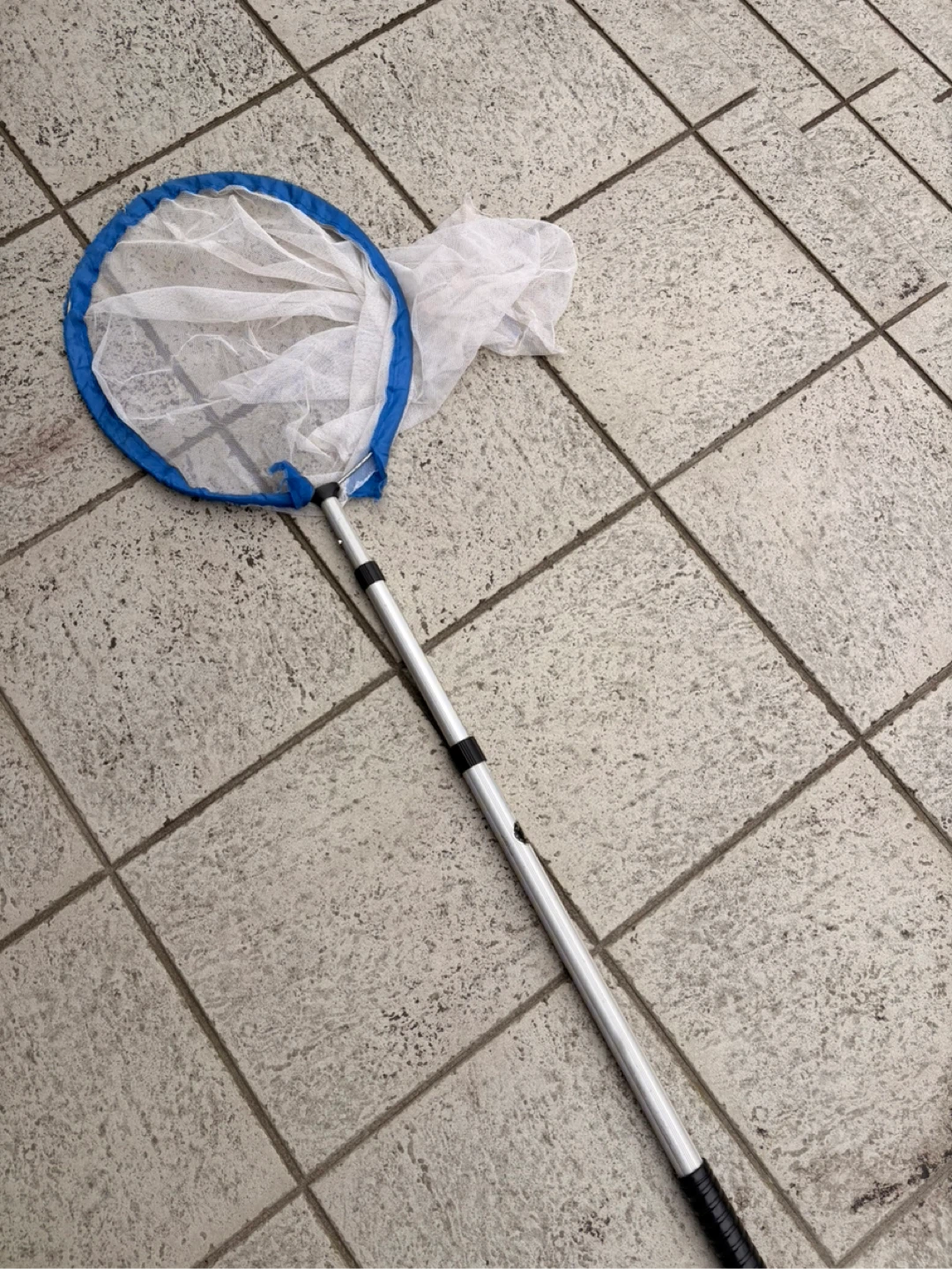 網 虫取り網