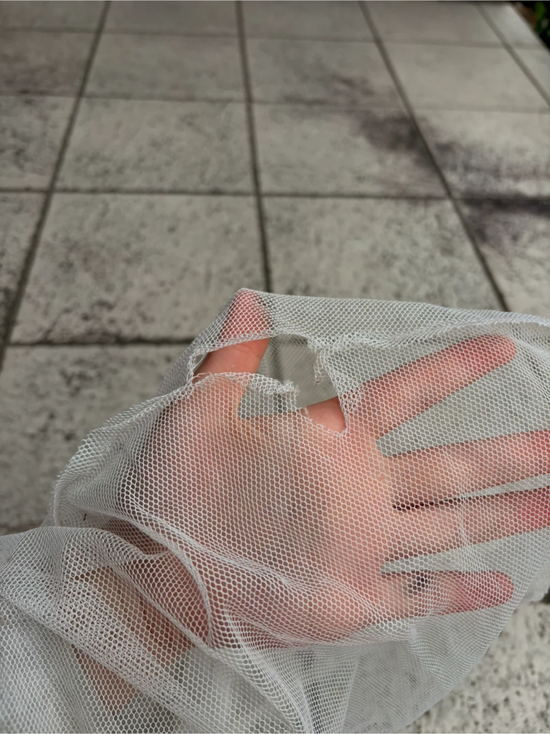 網 虫取り網の写真4枚目