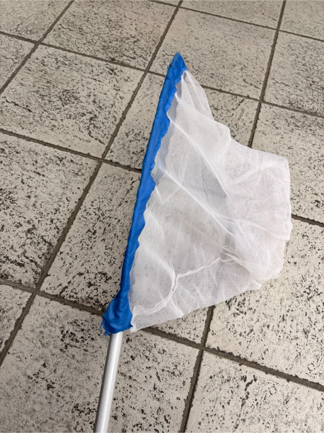 網 虫取り網の写真7枚目
