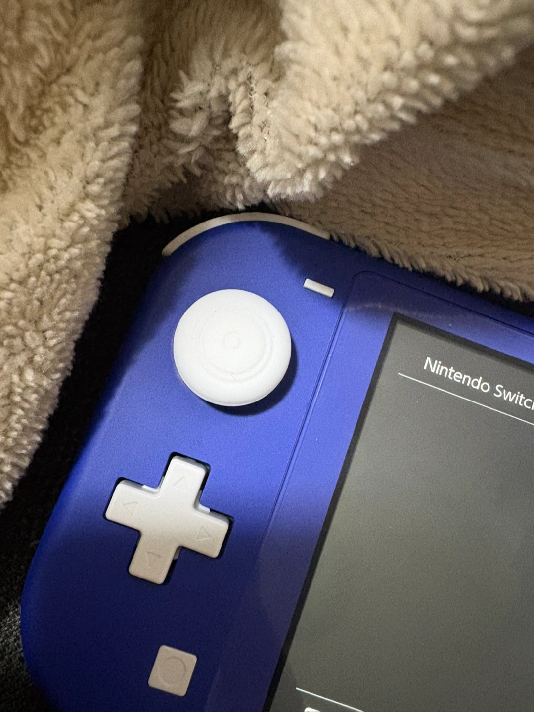 Switch Lite ブルー(32GBのメモリーカード含む)の写真3枚目