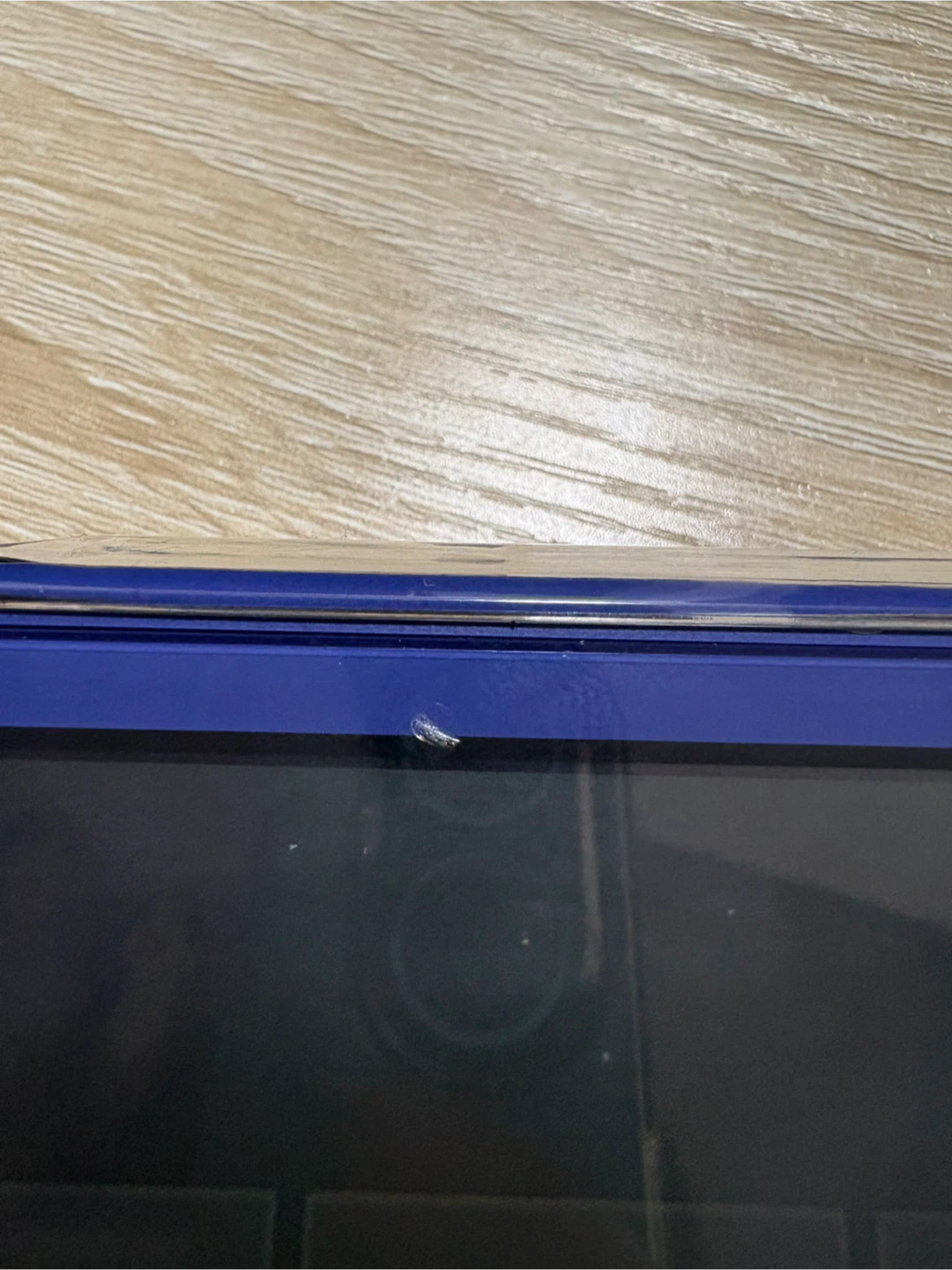 Switch Lite ブルー(32GBのメモリーカード含む）の写真2枚目