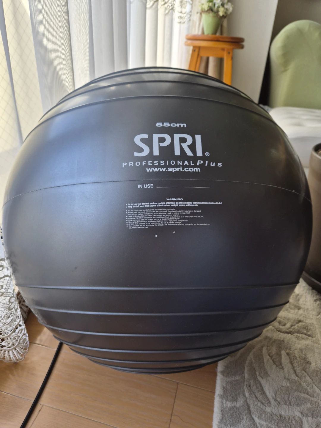 SPRI バランスボール