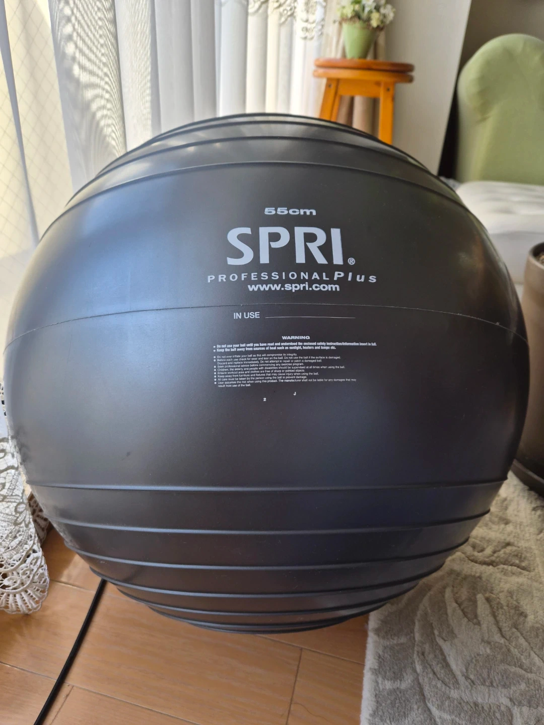 SPRI バランスボール