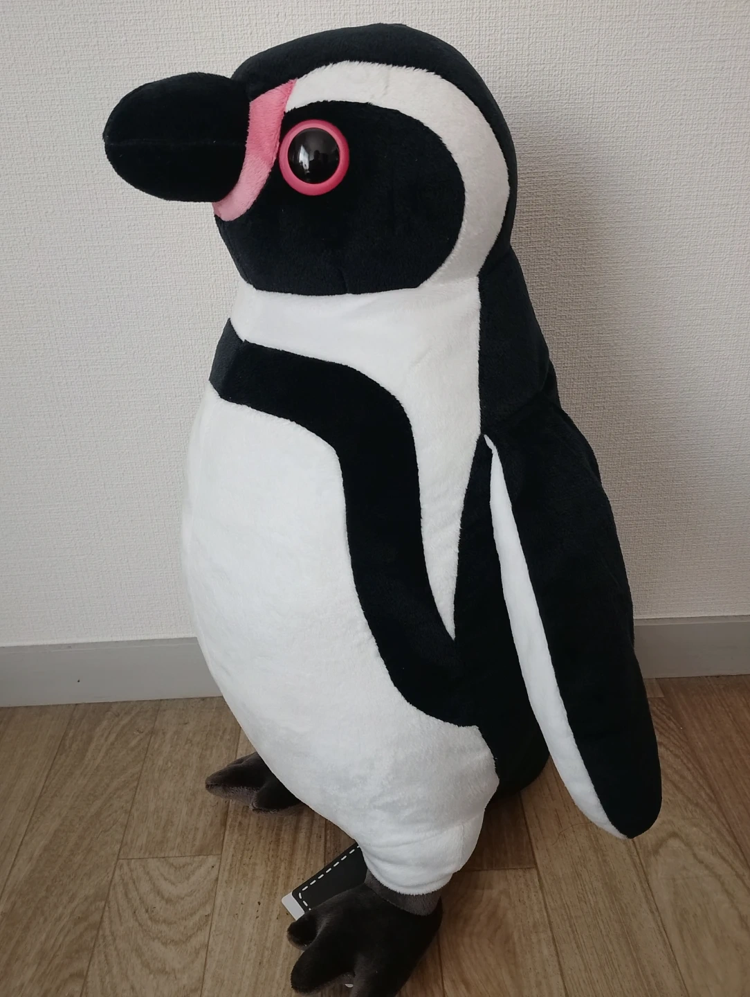 FANS フンボルトペンギン ぬいぐるみXL プレミアムの写真3枚目