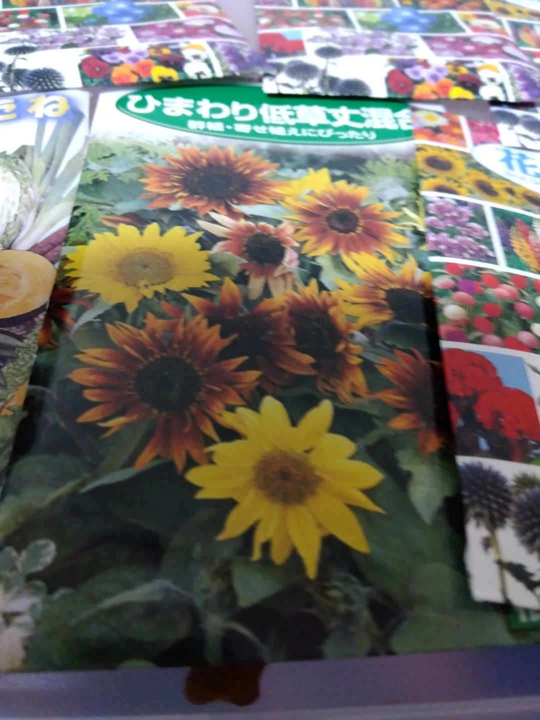 花の種と野菜の種セットの写真2枚目