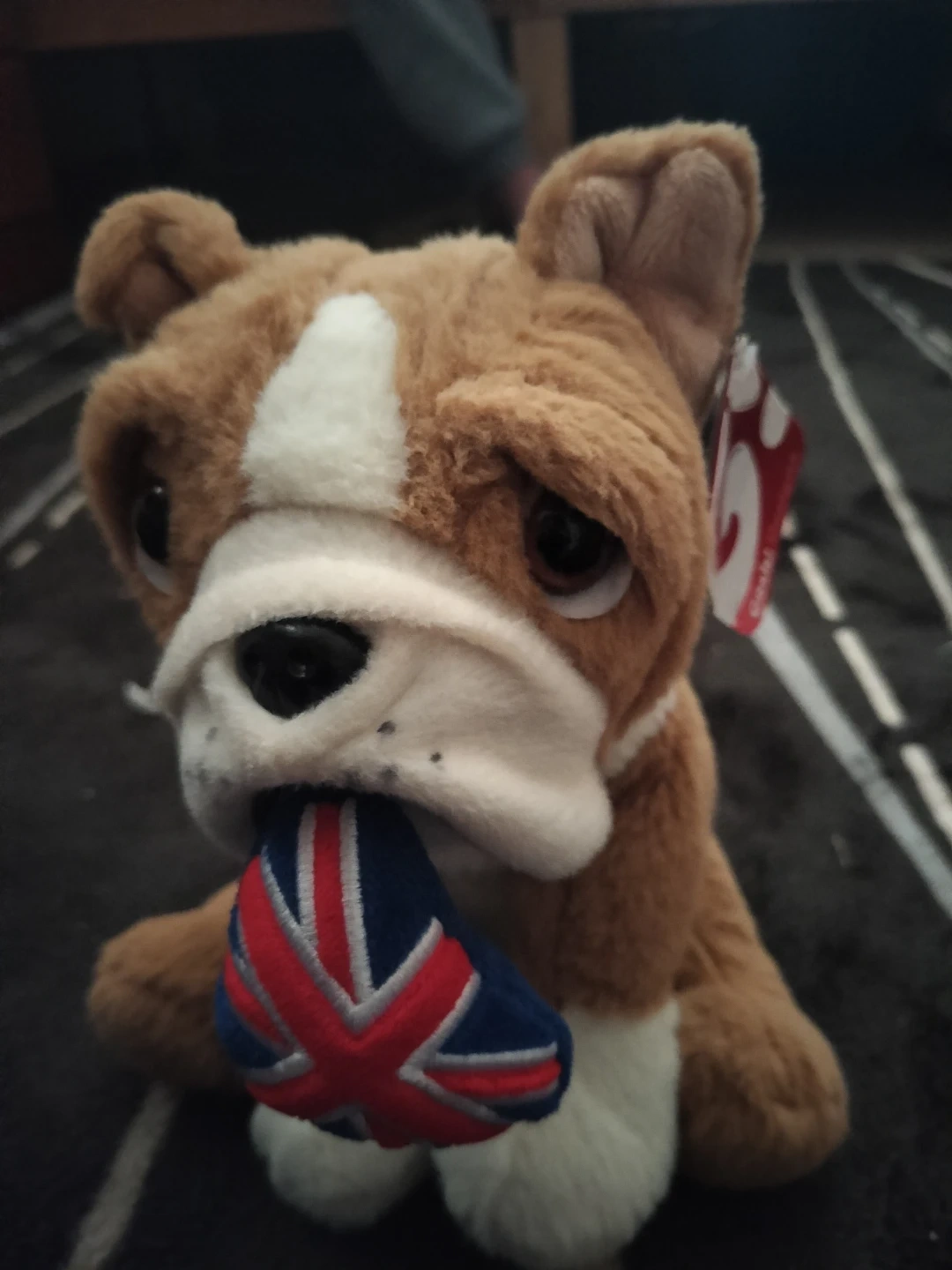 ぬいぐるみ ブルドッグ イギリス国旗