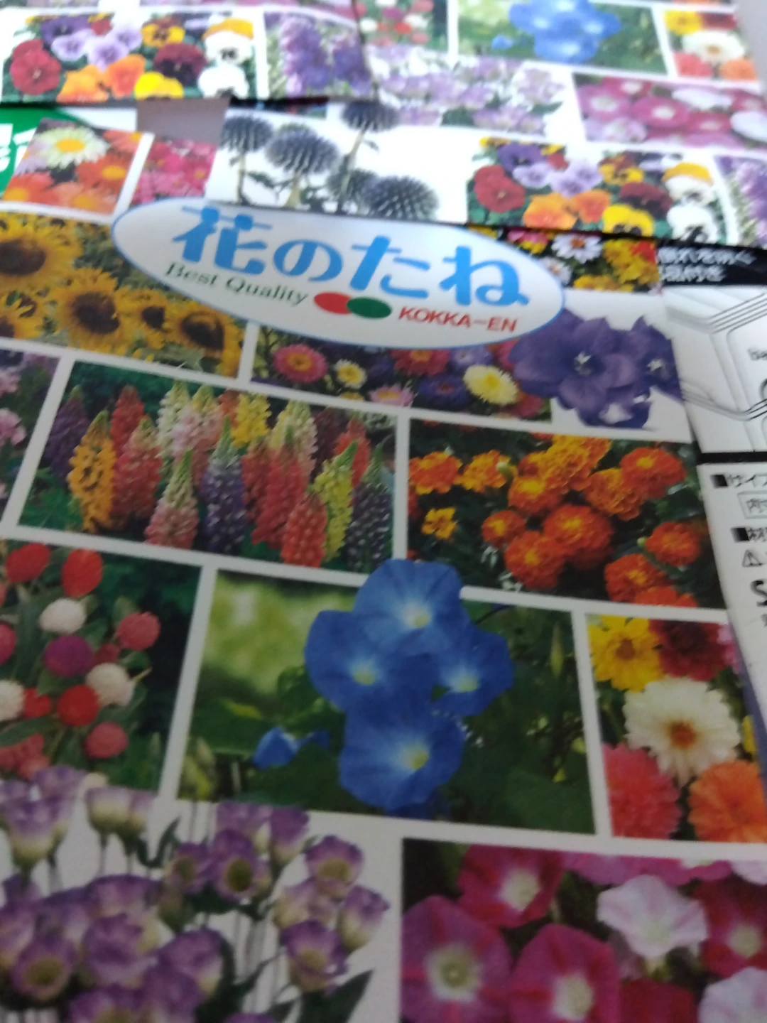 花の種と野菜の種セットの写真3枚目