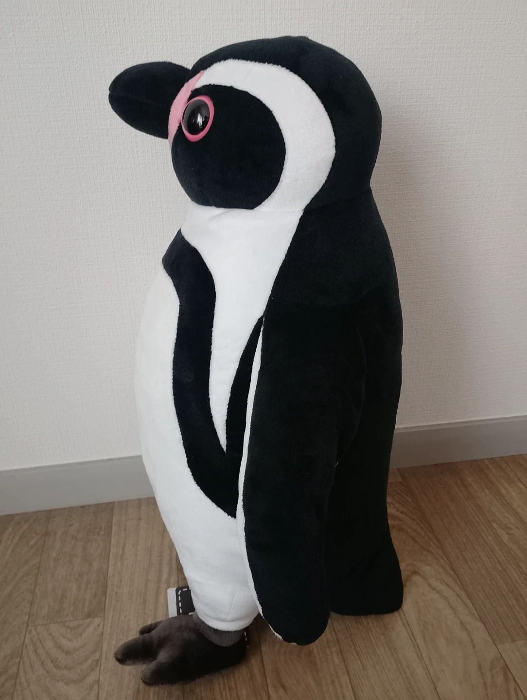 FANS フンボルトペンギン　ぬいぐるみXL プレミアムの写真4枚目