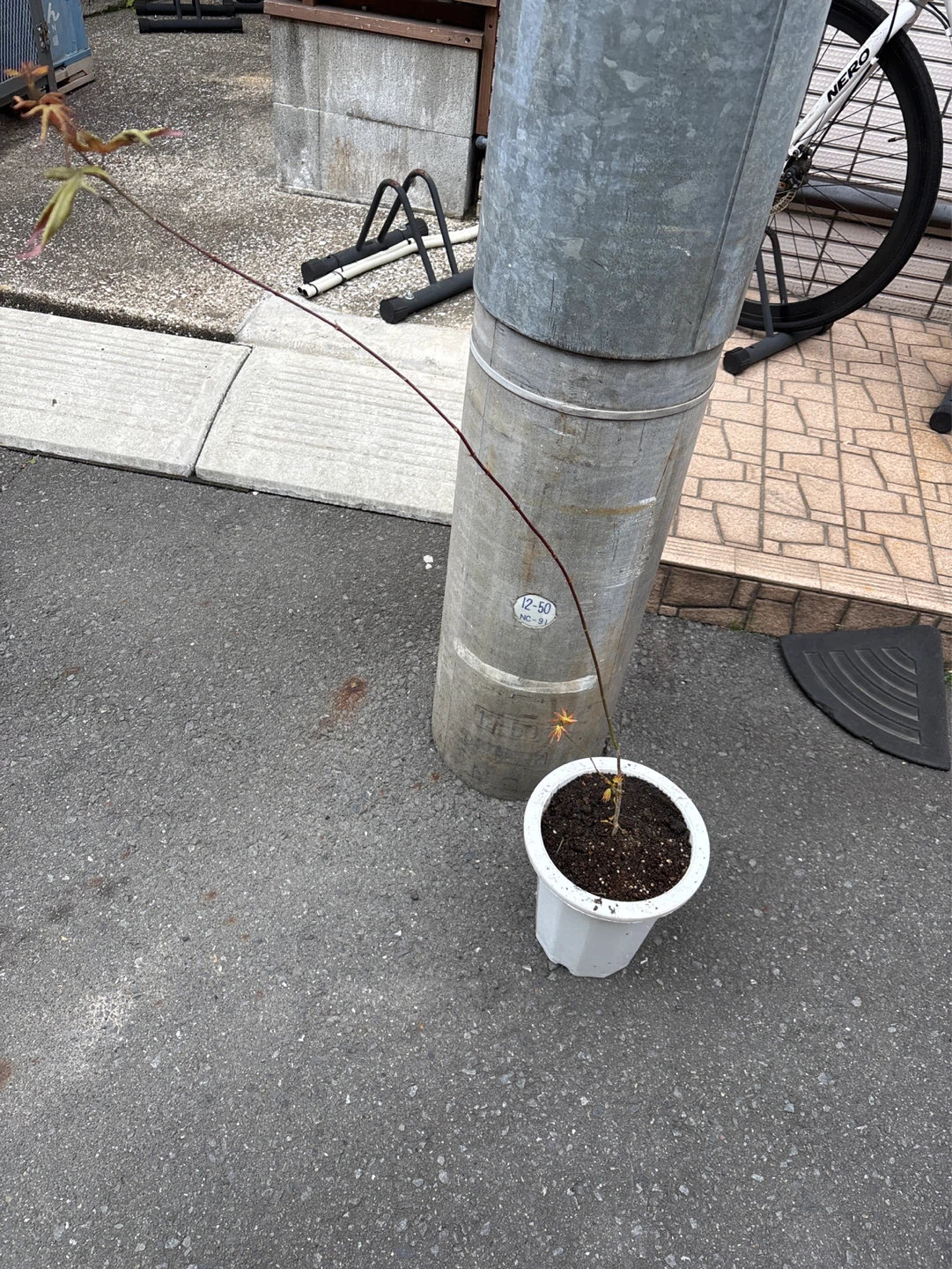 植木鉢 - その他