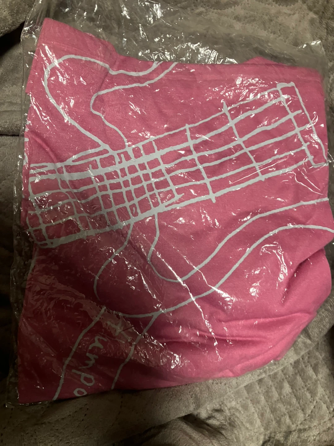 フラムプール 2ndツアー Tシャツ ピンク Sサイズの写真4枚目