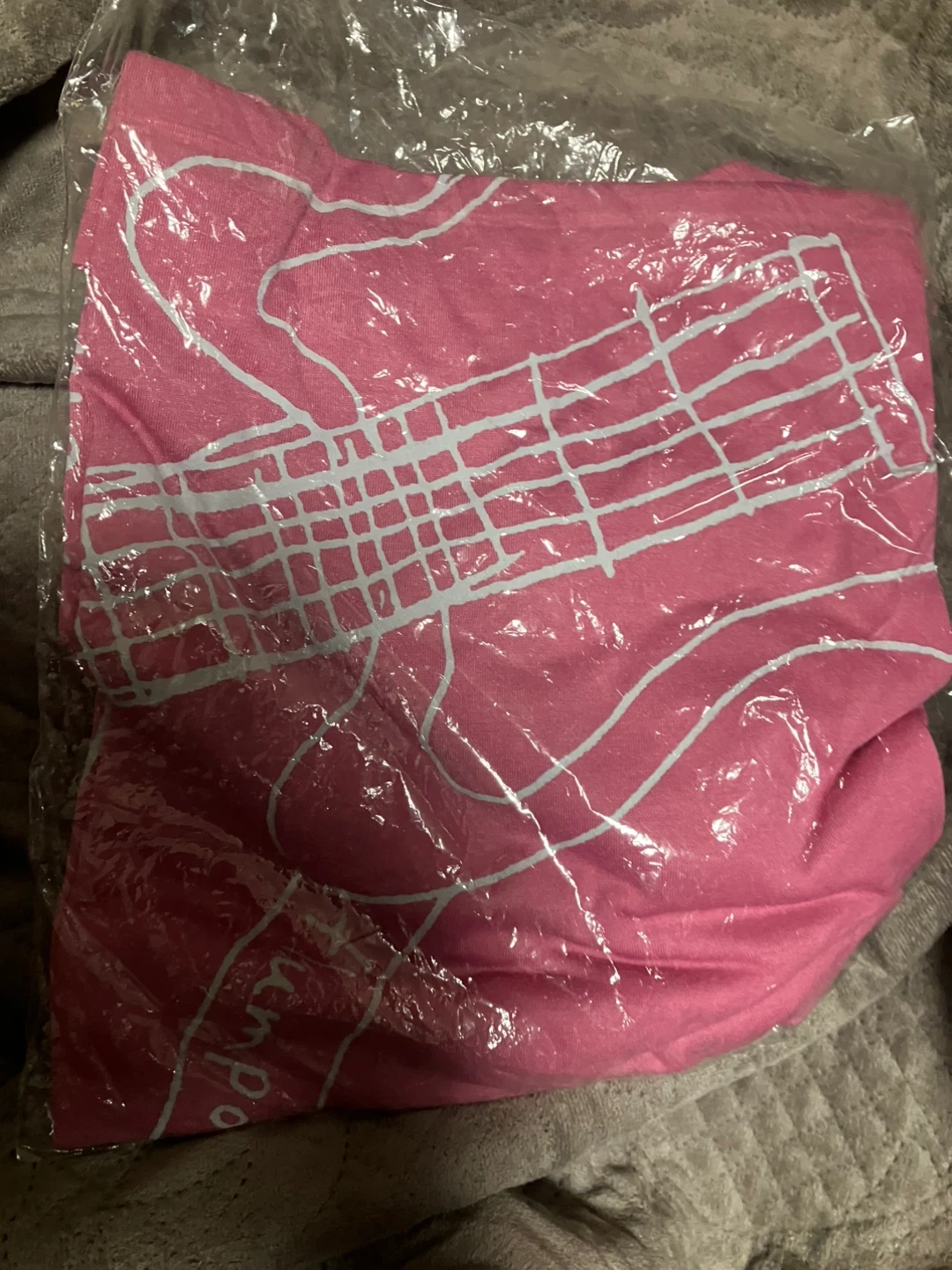 フラムプール 2ndツアー Tシャツ ピンク Sサイズの写真4枚目