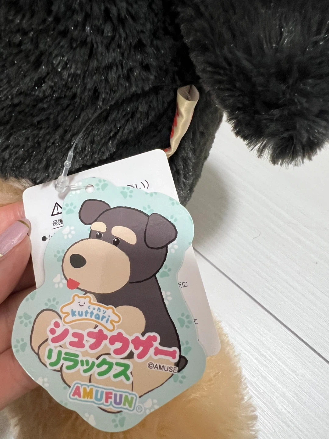 ⑥くったりシュナウザーの写真2枚目