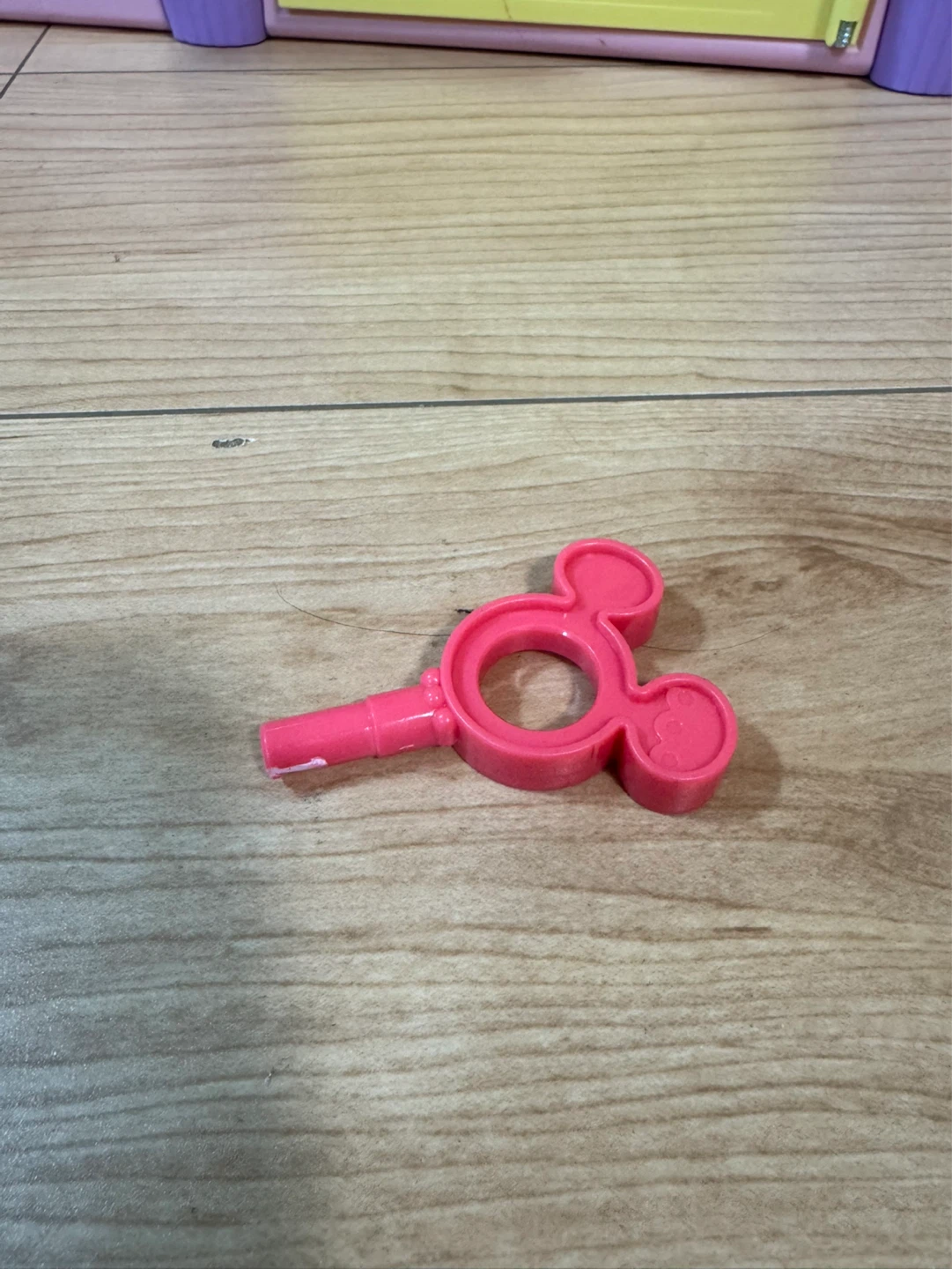 レミン&ソラン 遊び広がる大きな夢見るおうちの写真3枚目