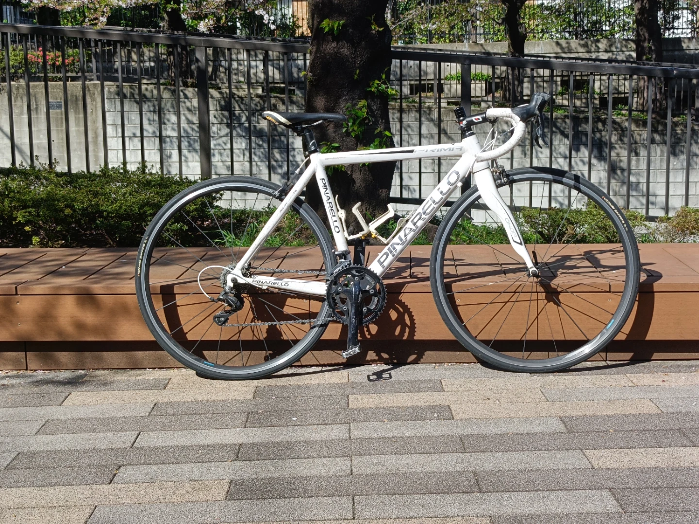 ピナレロ PRIMA 2015 ロードバイク 白 サイズ440 SORA 初心者向け ポジション調整可