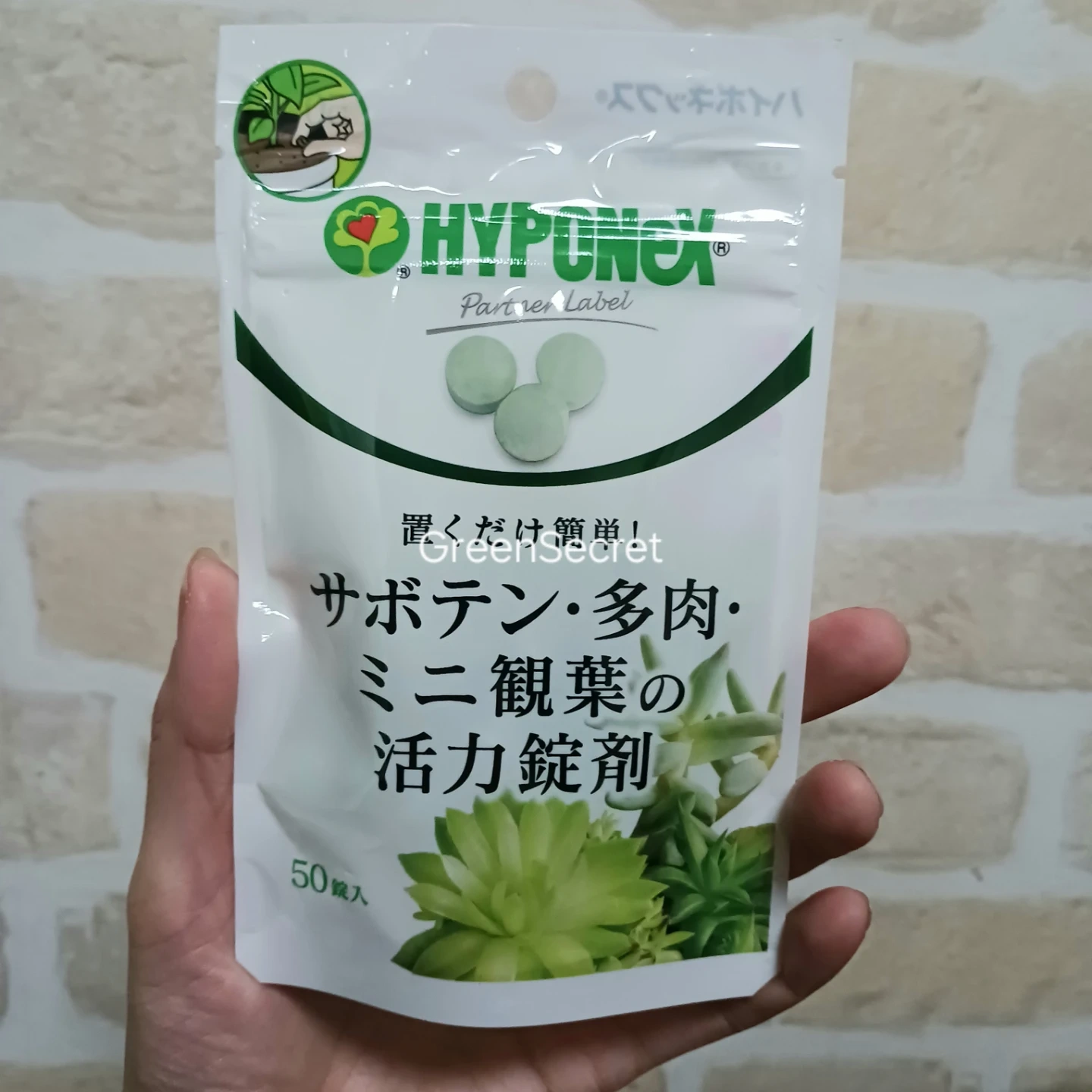 活力剤 サボテン 多肉 ミニ観葉 ハイポネックス
