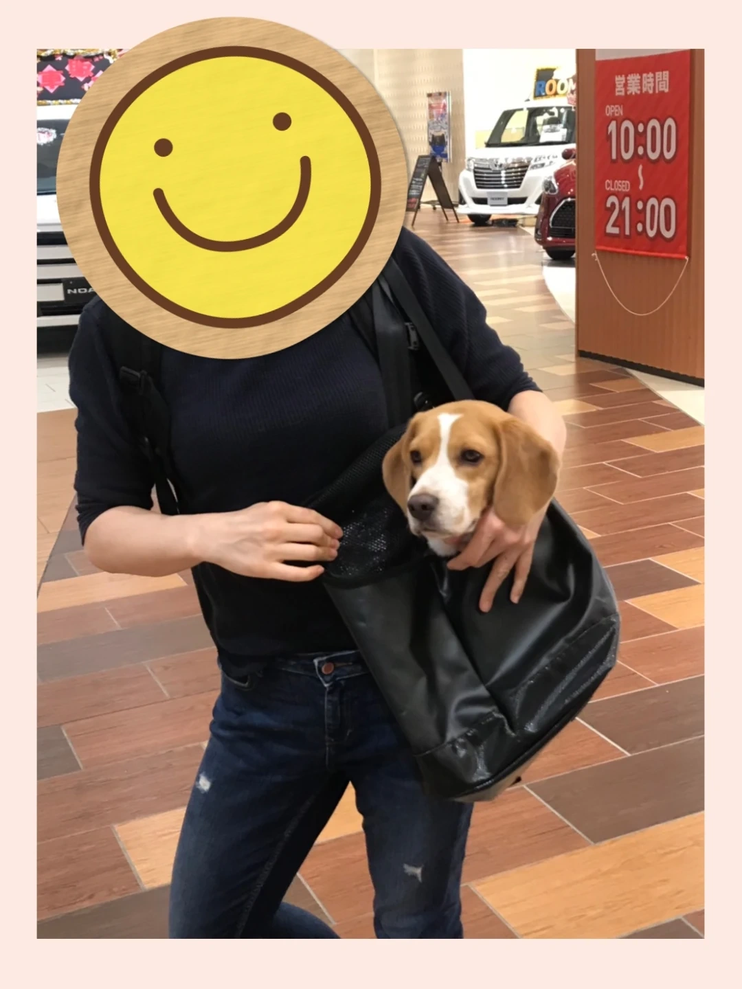 ペットキャリーバッグ 黒の写真7枚目