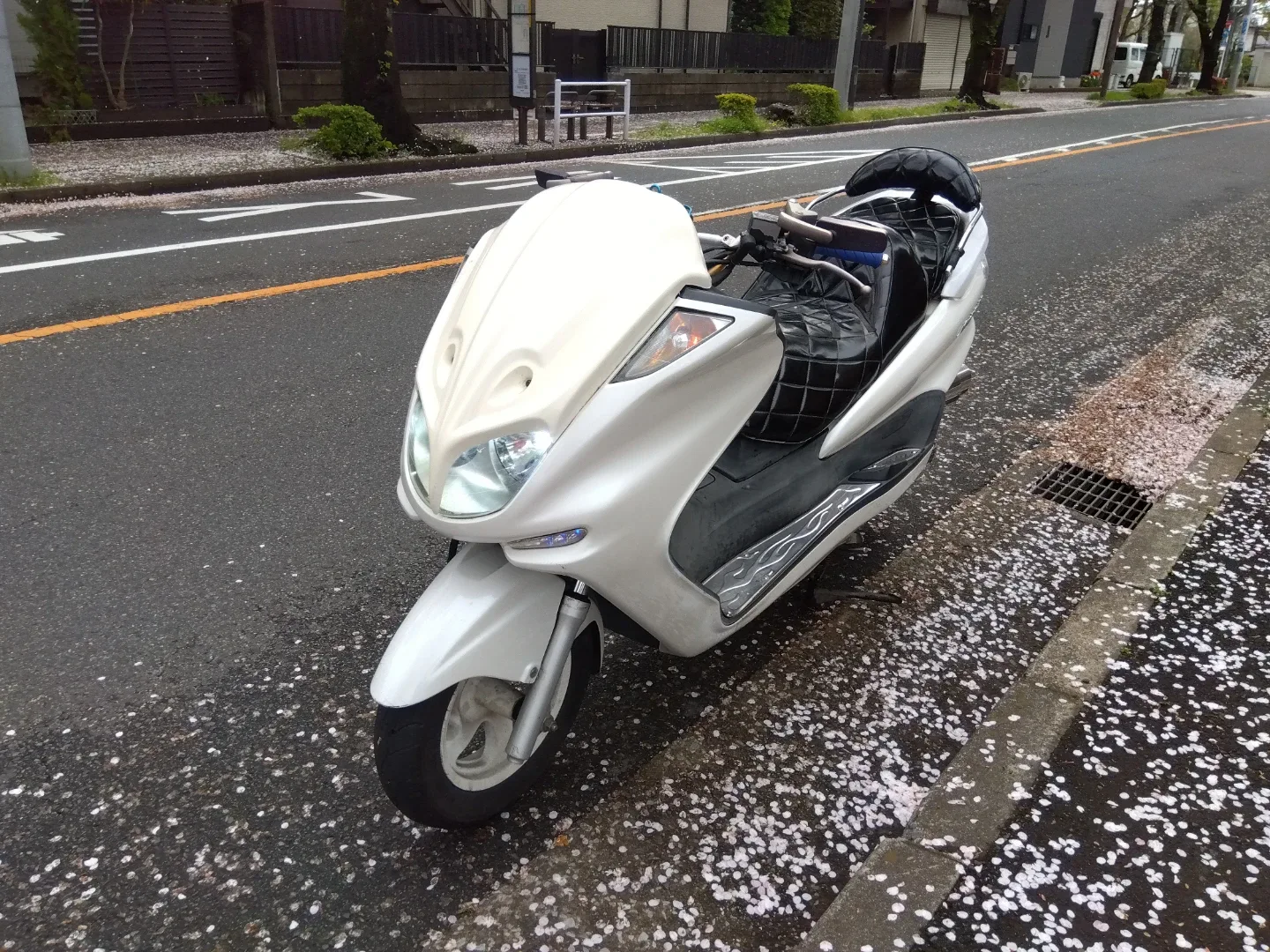image indicator(8)