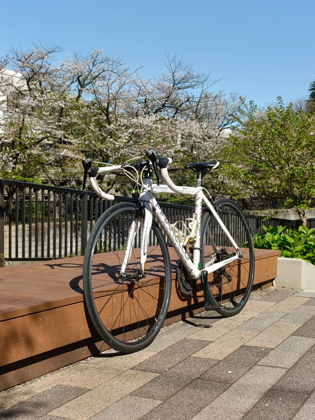 ピナレロ PRIMA 2015 ロードバイク 白 サイズ440 SORA 初心者向け ポジション調整可の写真2枚目