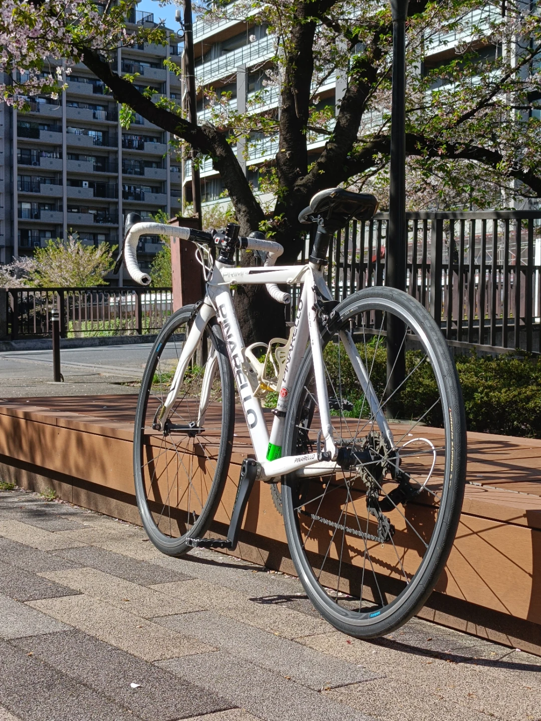 ピナレロ PRIMA 2015 ロードバイク 白 サイズ440 SORA 初心者向け ポジション調整可の写真3枚目