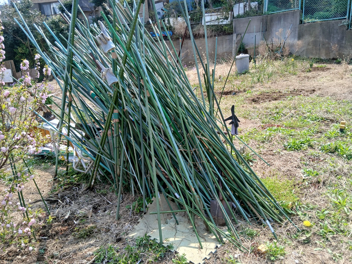 園芸用支柱