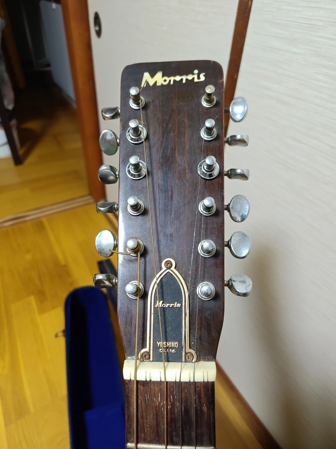 Morris B-28 1969年 (ケース付) Morris B-28 1969年 (ケース付) - キャロット（Karrot）