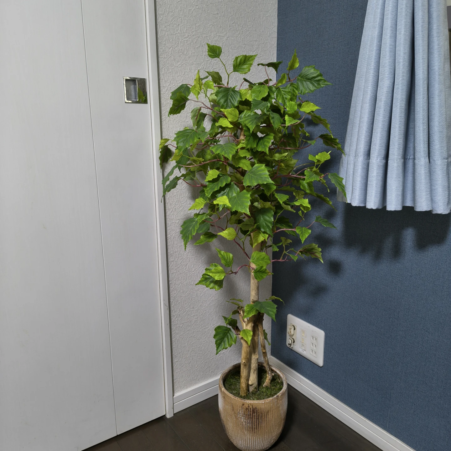 フェイクグリーン 観葉植物