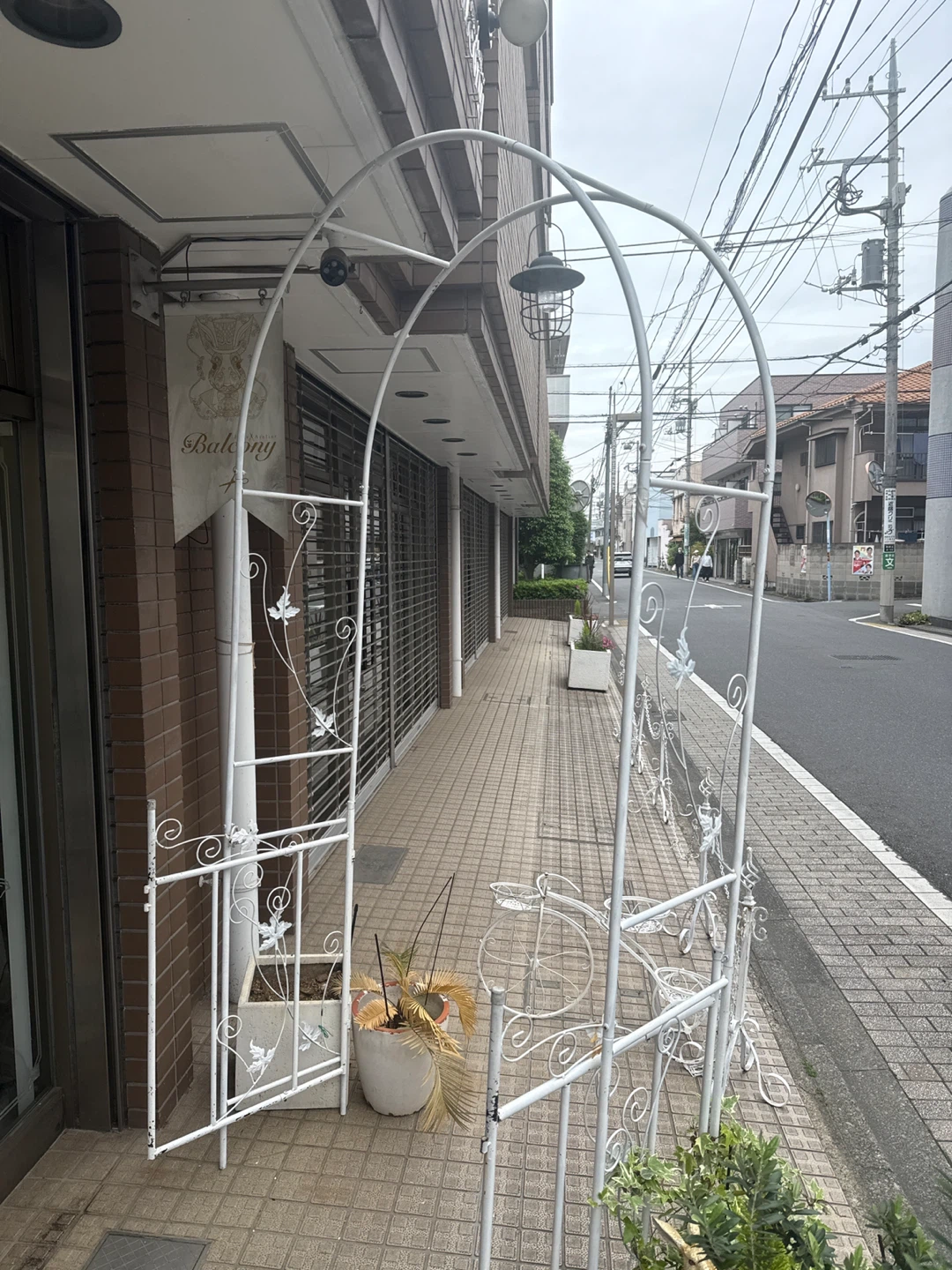 アーチ本日、明日限定