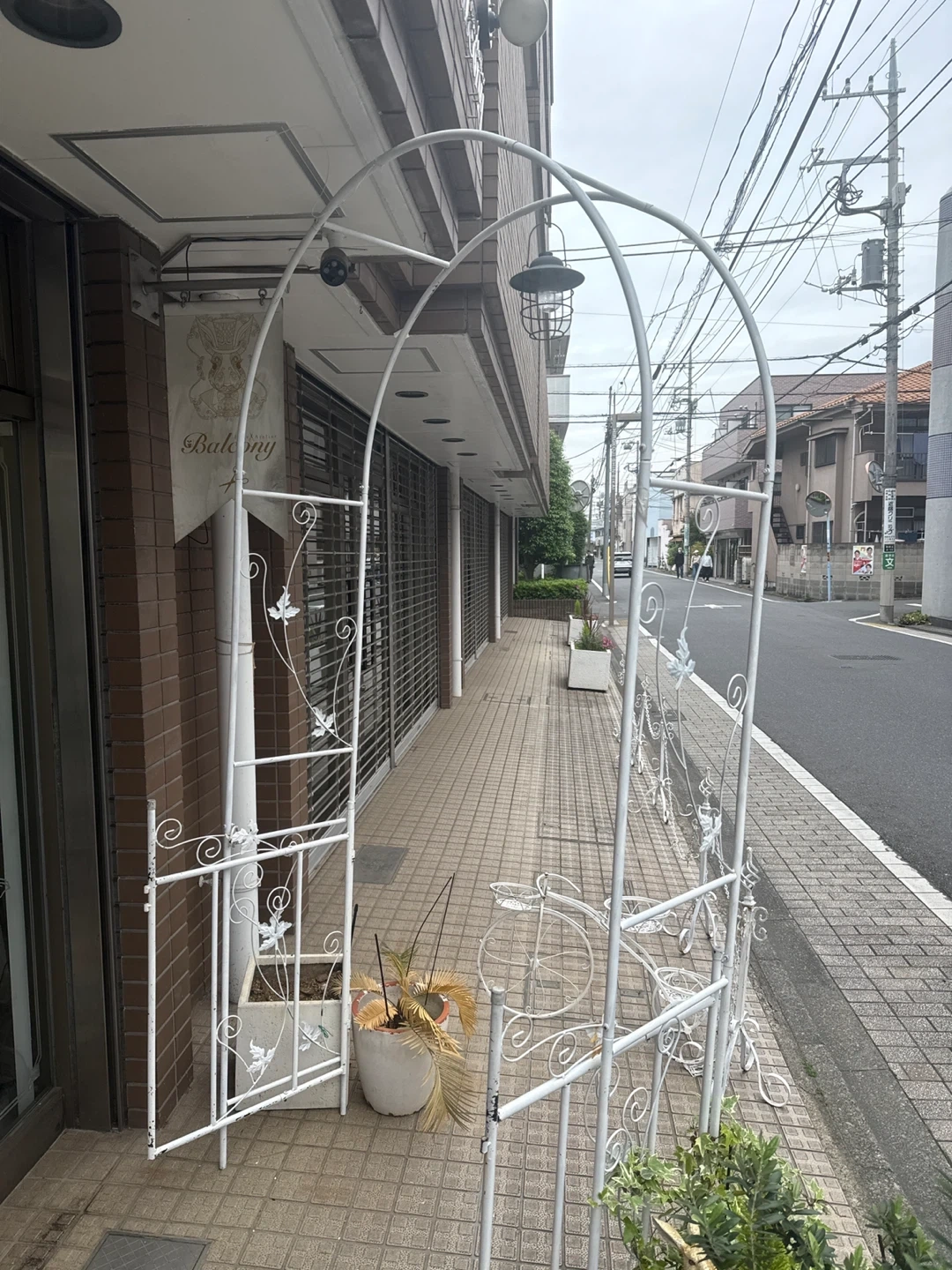 アーチ本日、明日限定