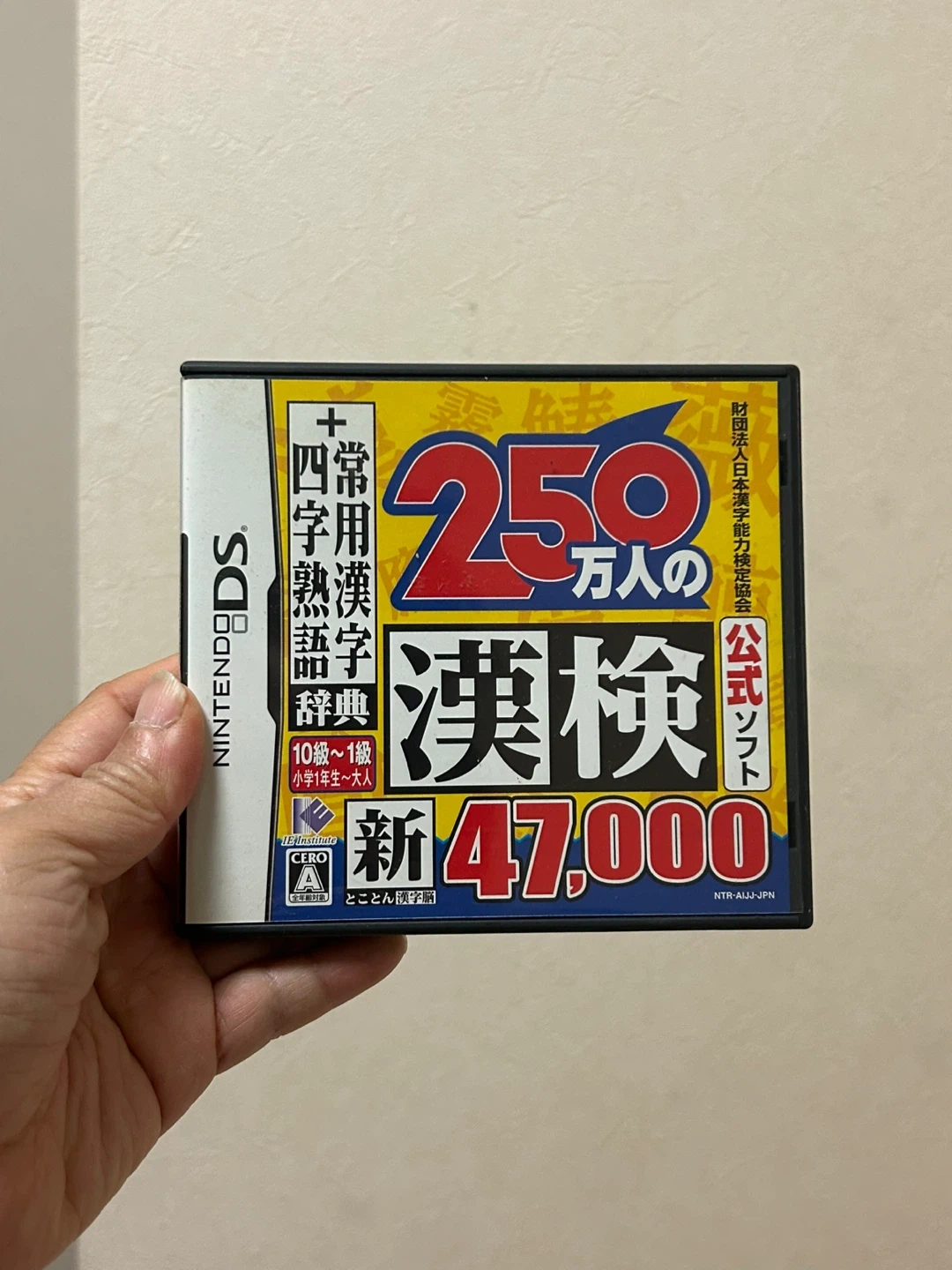 ニンテンドーDS 250万人の漢検