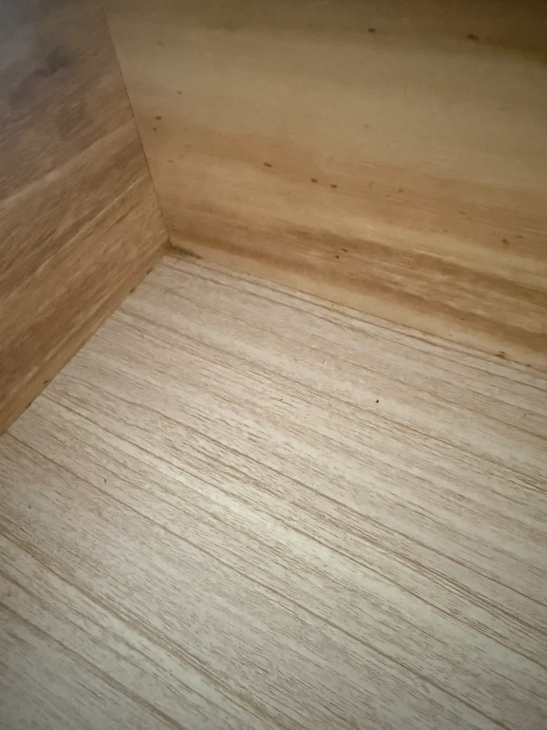 image indicator(2)