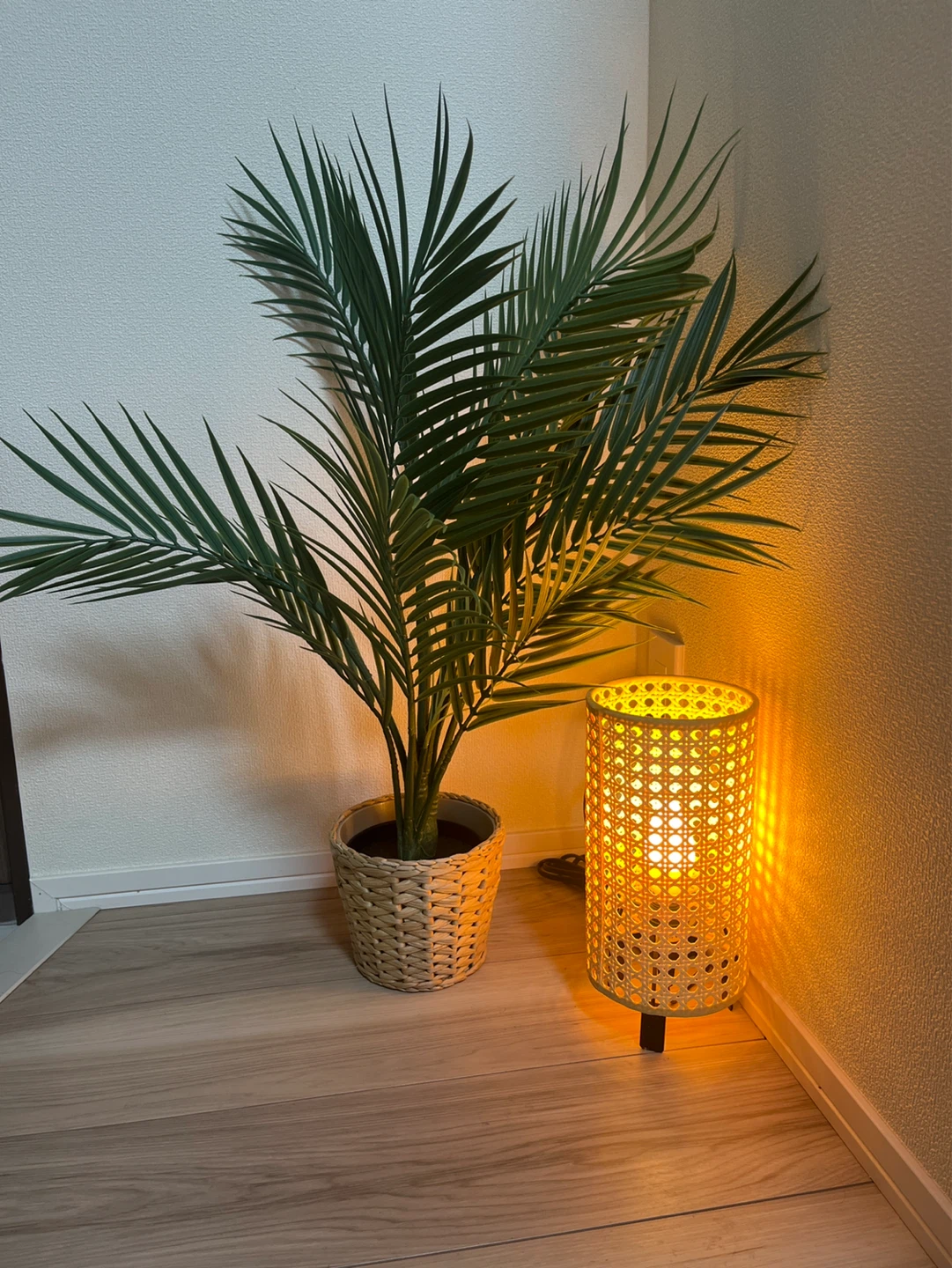 フェイクグリーン 鉢植え 卓上照明 セット🪴💡
