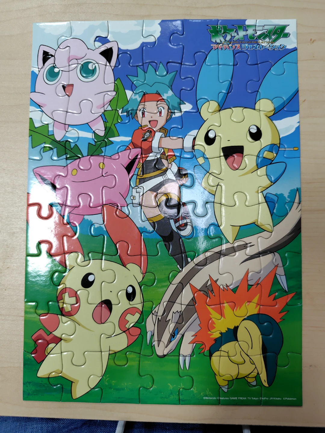 ポケモン アドバンスジェネレーション ジグソーパズル