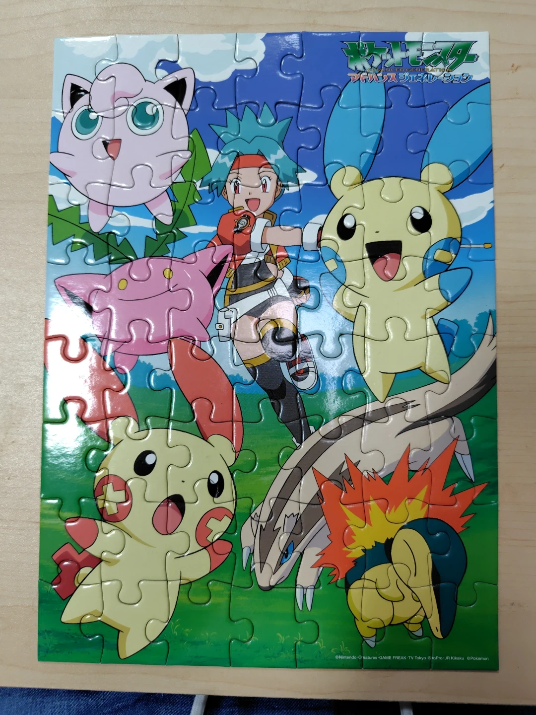 ポケモン アドバンスジェネレーション ジグソーパズル