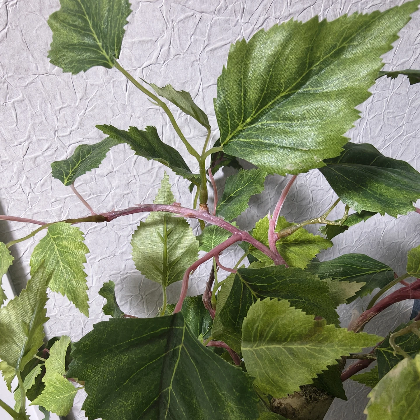 フェイクグリーン 観葉植物の写真2枚目