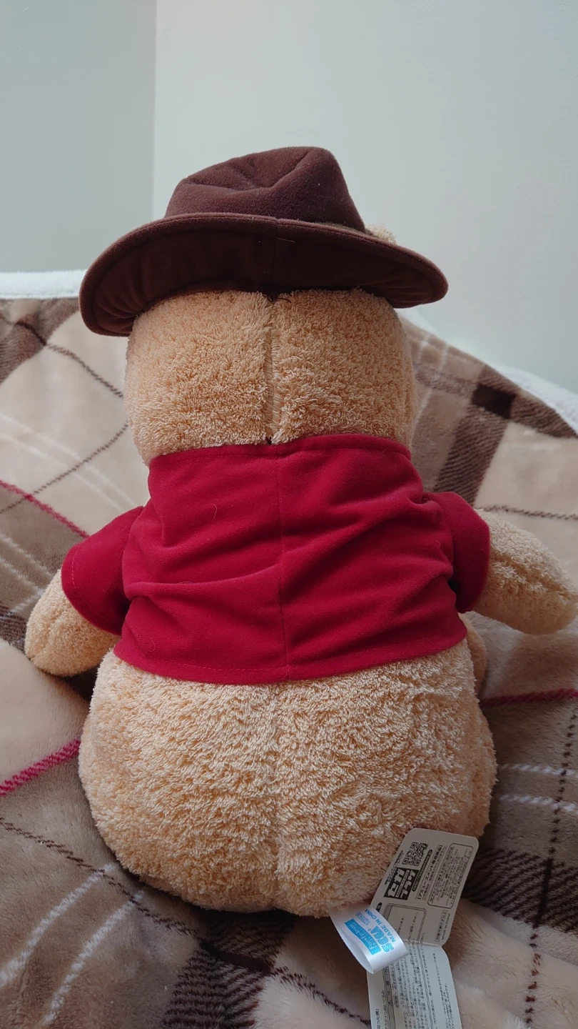 くまのプーさん メガジャンボ帽子スタイルぬいぐるみの写真3枚目