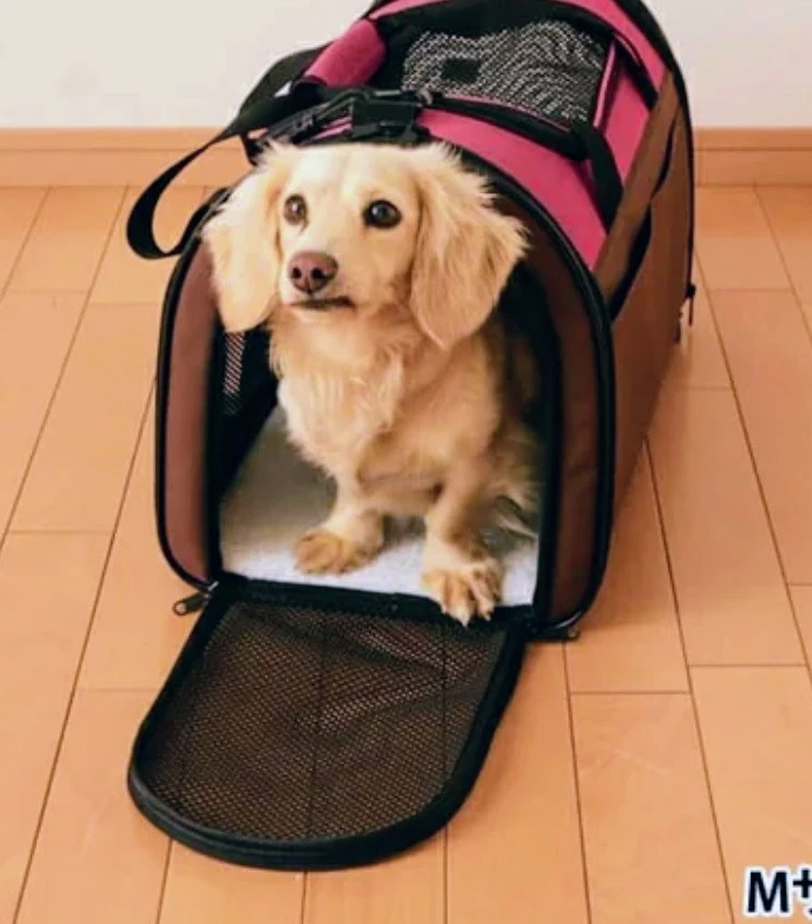 ペット用キャリーバッグ チェック柄