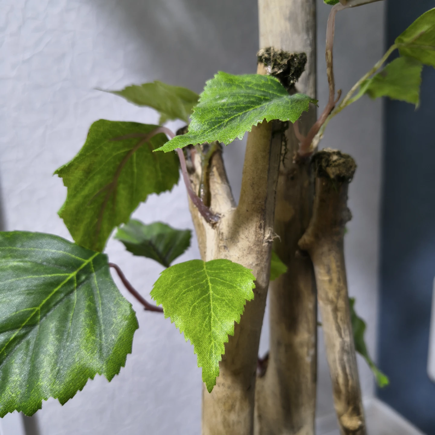 フェイクグリーン 観葉植物の写真3枚目