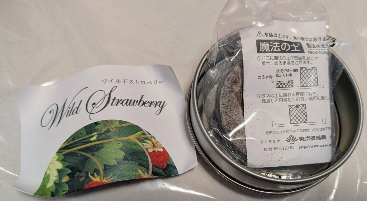 ワイルドストロベリー 栽培キット